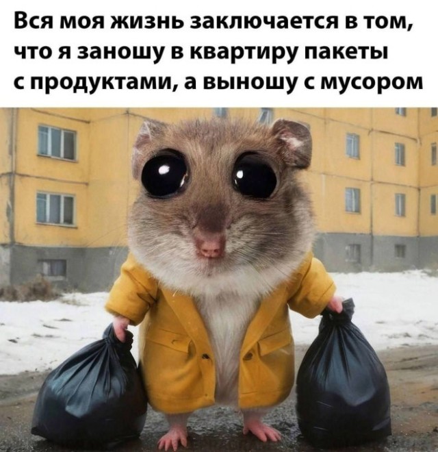 Картинки для деградации 61 (разной степени свежести)