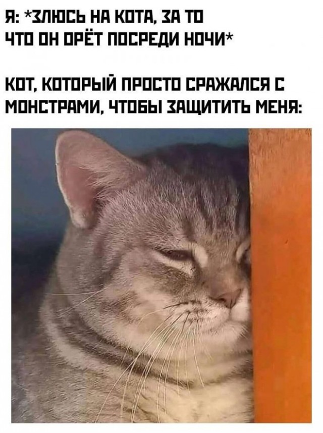 Веселые картинки в понедельник (15.12)