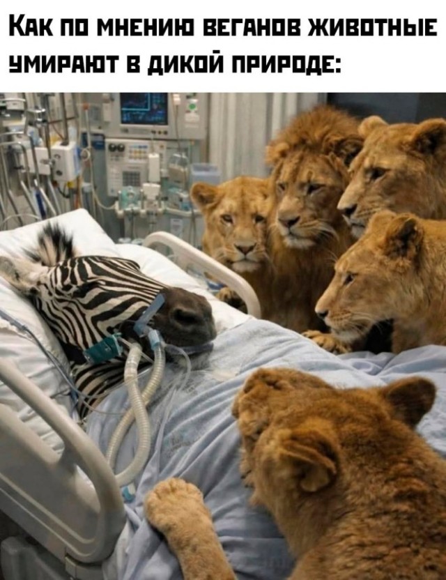 Ну вот, другое дело!