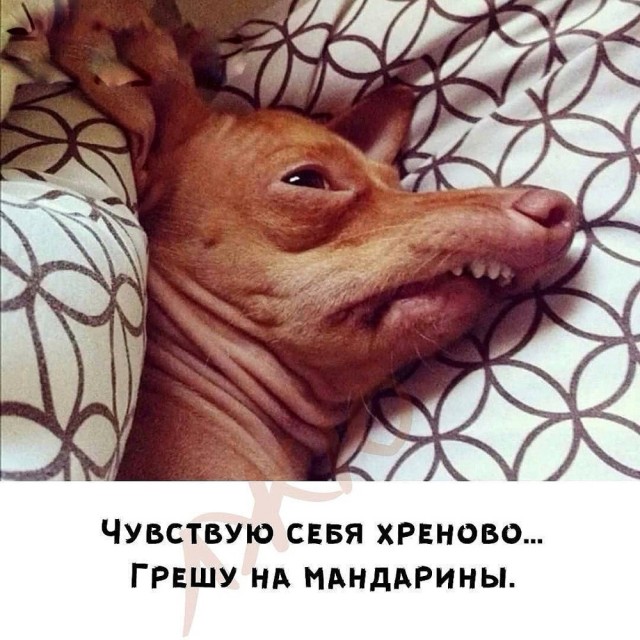 Деградация
