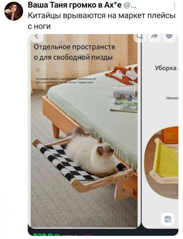Нуштош. Лужа истекшего периода (s5e3)