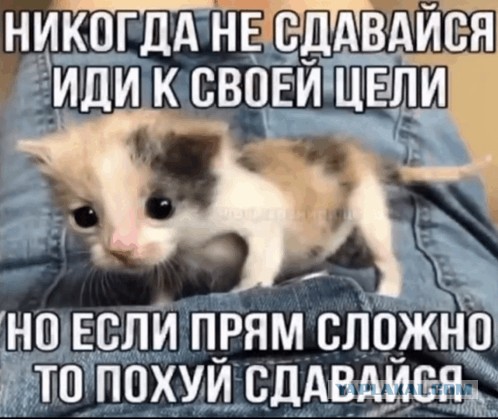 Если ты устал и не знаешь что делать дальше