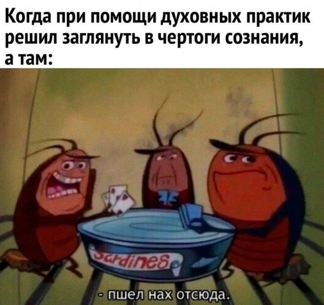 Картинки для деградации 156 (разной степени свежести)