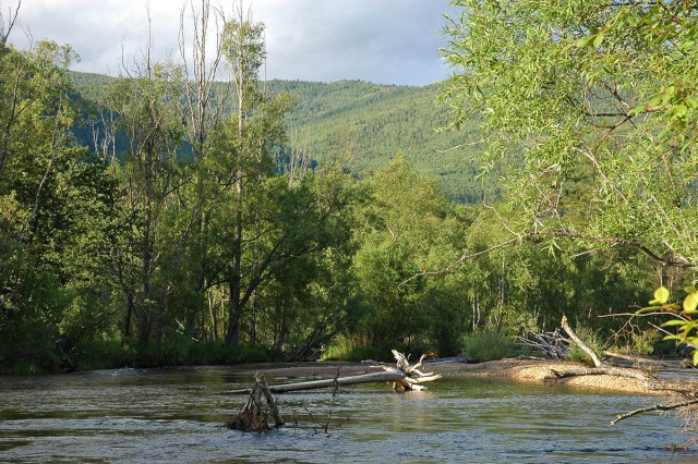Деревенская Америка