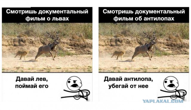 Погоня, погоня, погоня в горячей...