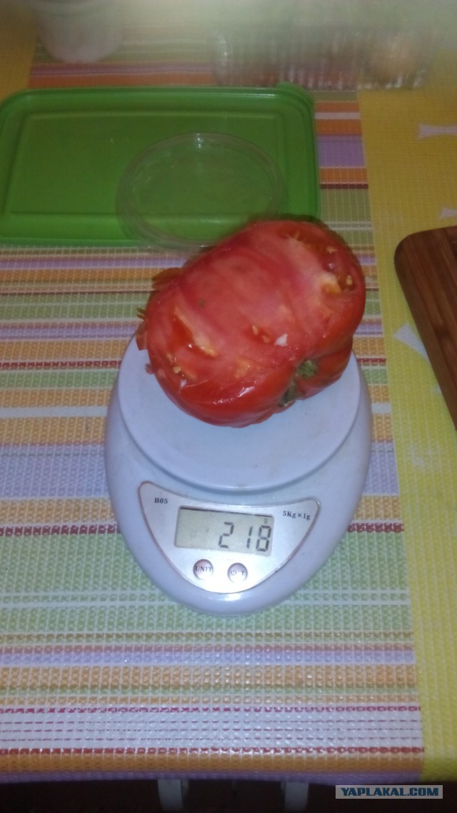 Аццкая кухня 2  (кулинарный адъ)