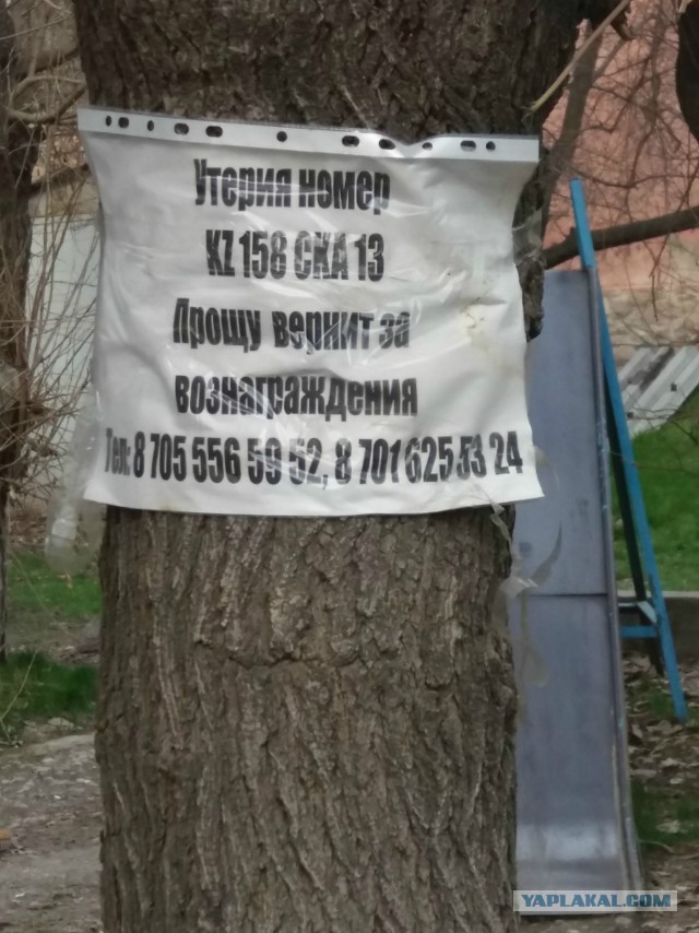 Забавный Казахстан.