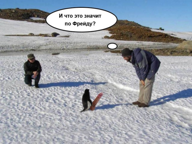 Фотожаба: Полярники окружают!