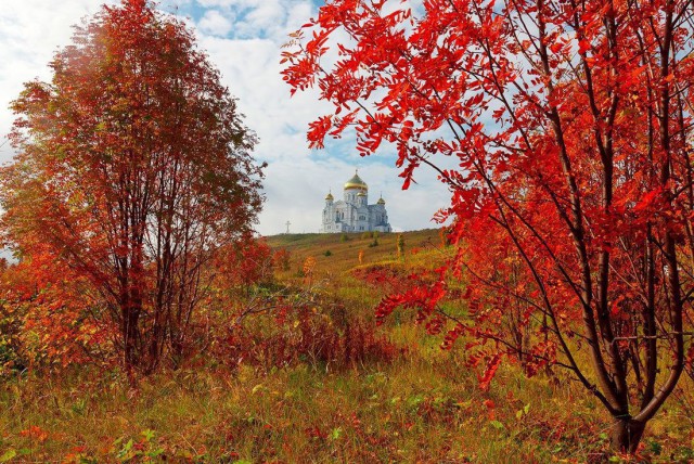 Картинки всякие