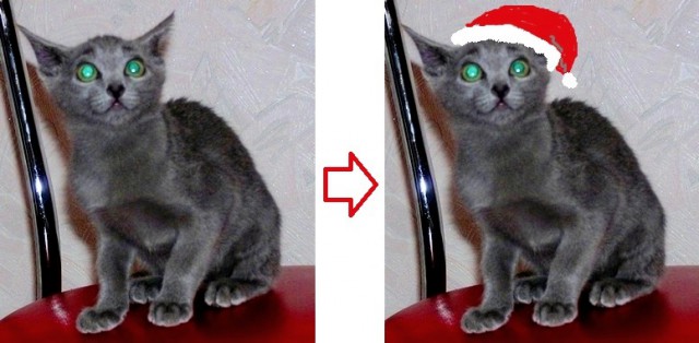 Яповцы, оновогоживайтесь!