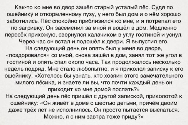Смешные СМС и комменты