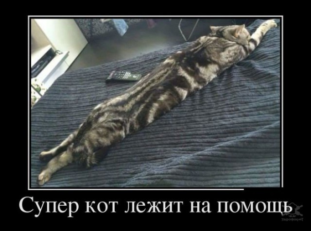 Картинки в черных рамках с подписями