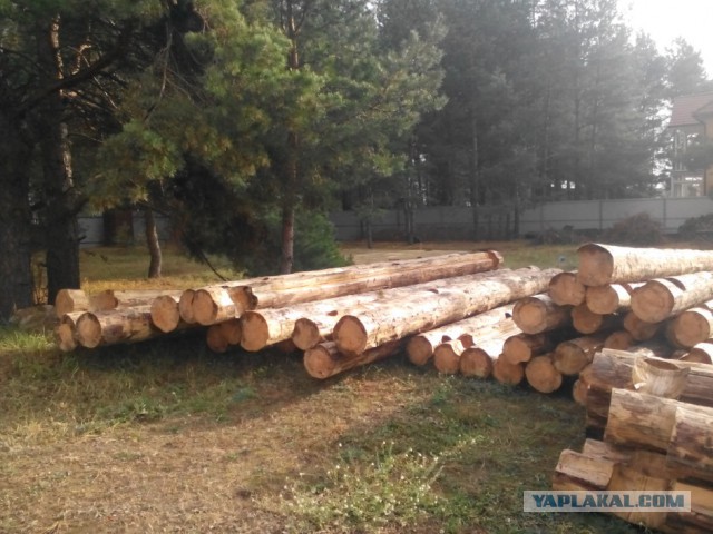 Дачно-банная эпопея