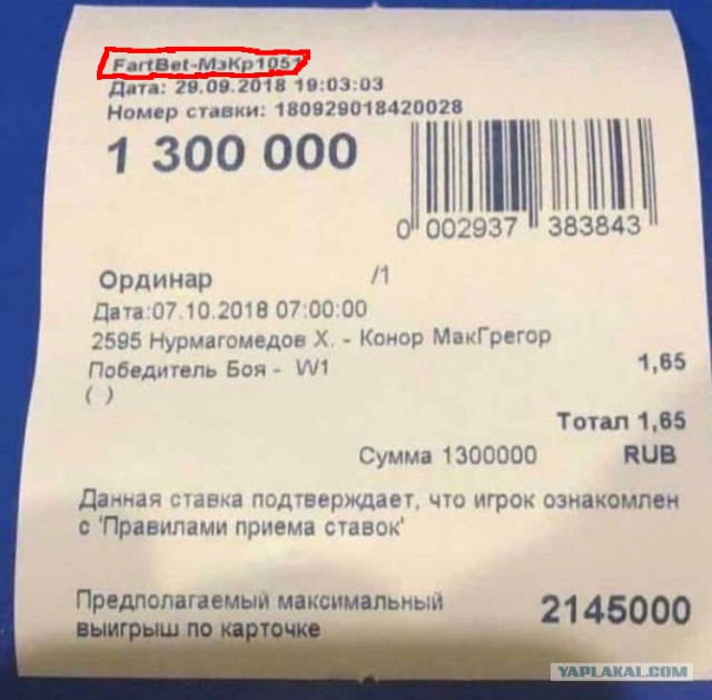 Замес на UFC 229