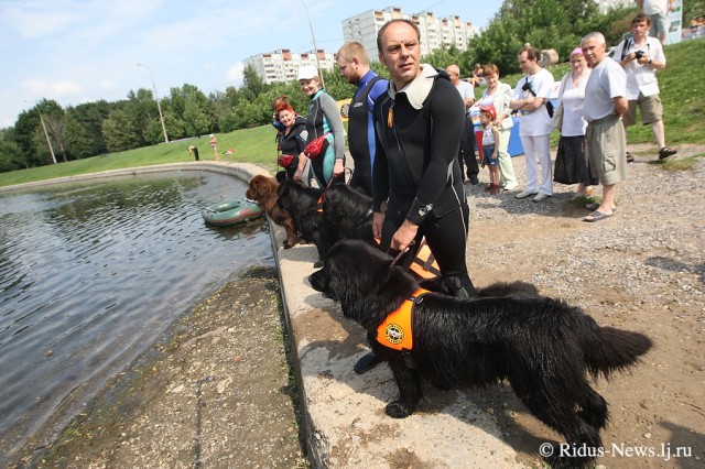 Четвероногие спасатели