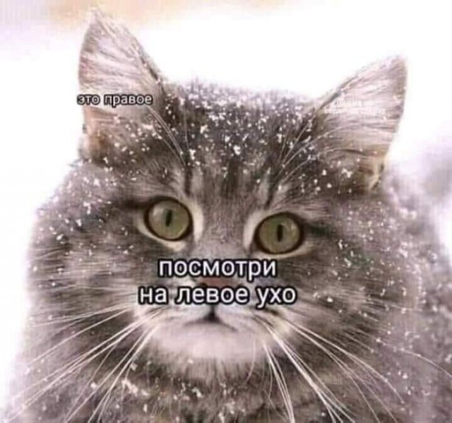 Немного веселых картинок из этих наших интернетов