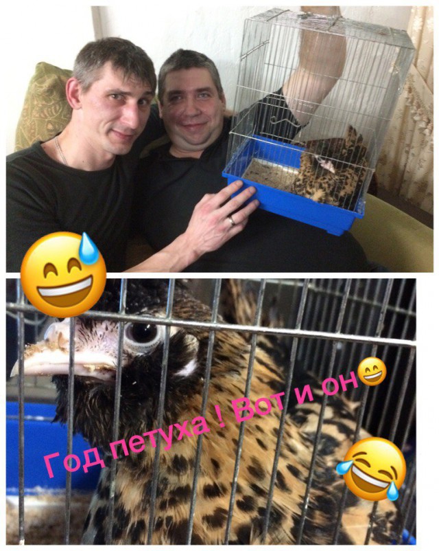 Чудики из социальных сетей