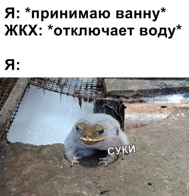 Картинки с надписями, истории и анекдоты