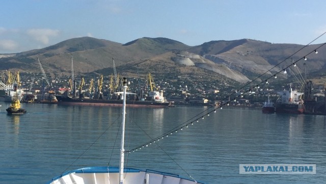 Море было покрыто людьми: катастрофа «Адмирала Нахимова»
