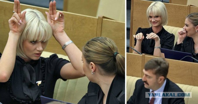 В Госдуму внесли законопроект о наказании для чиновников, которые оскорбляют российских граждан