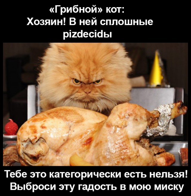 Я просто потрогаю!
