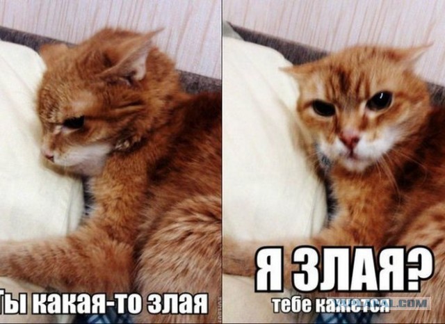 Слова мужчины, прожившего 30 лет в браке