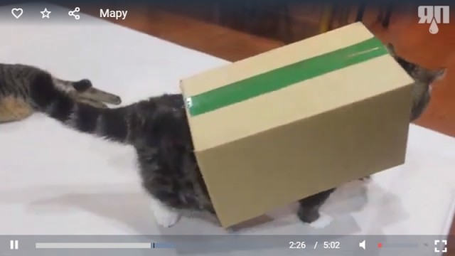 Я от неё просто прусь. Мару