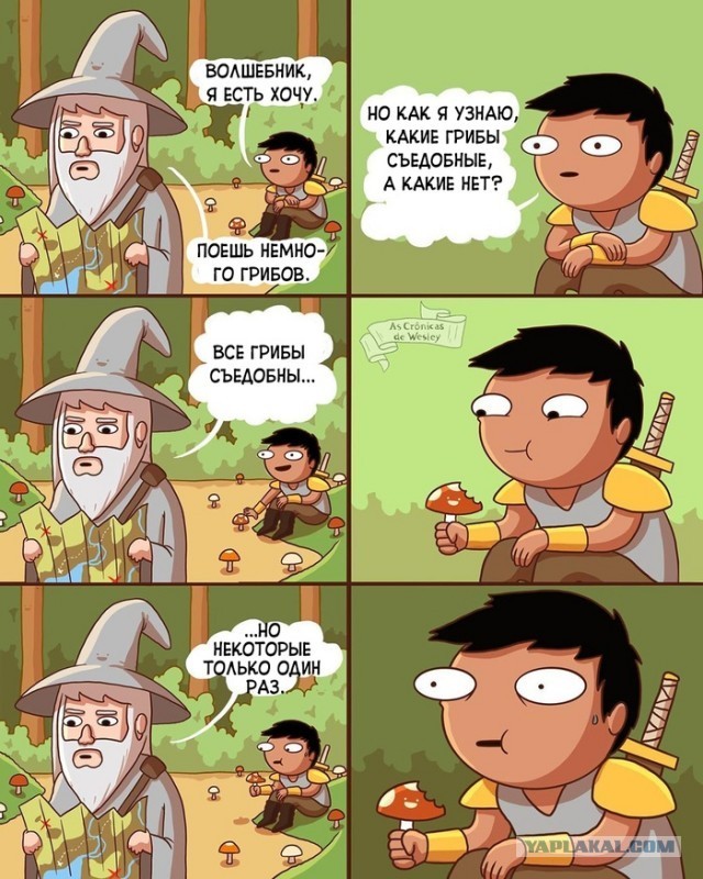 Моя подборка картинок для любимого сайта с любимого сайта