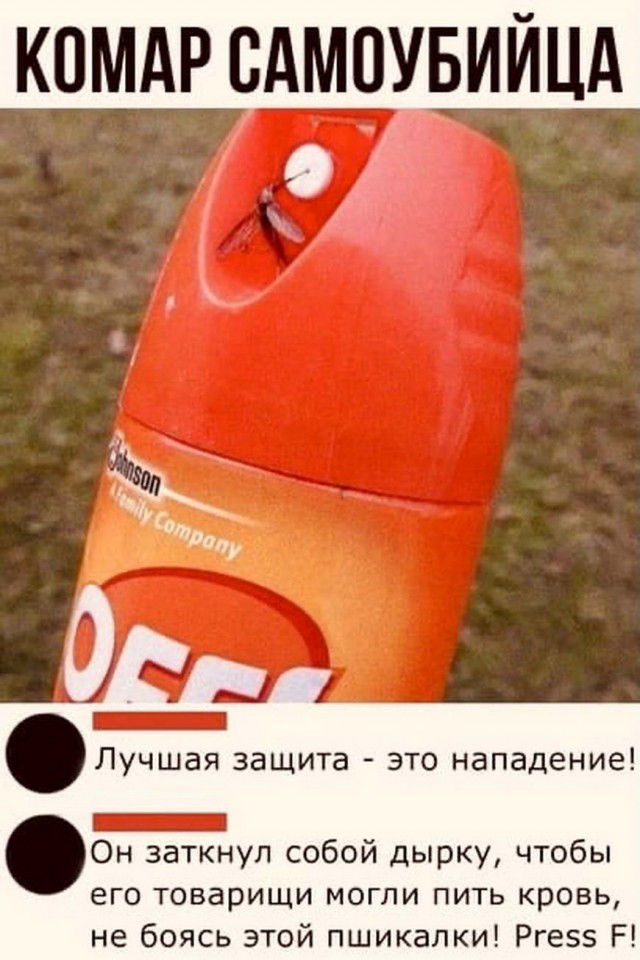 Бредзона 11.01.21