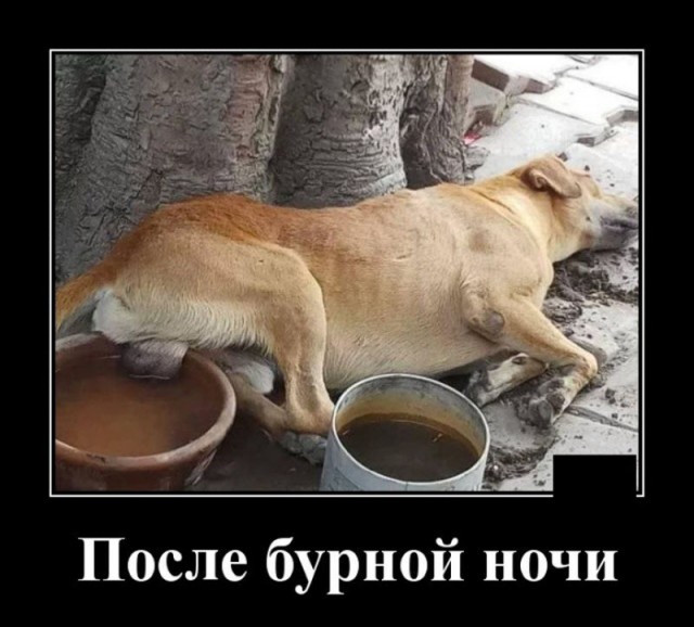 Бредзона 06.02.21