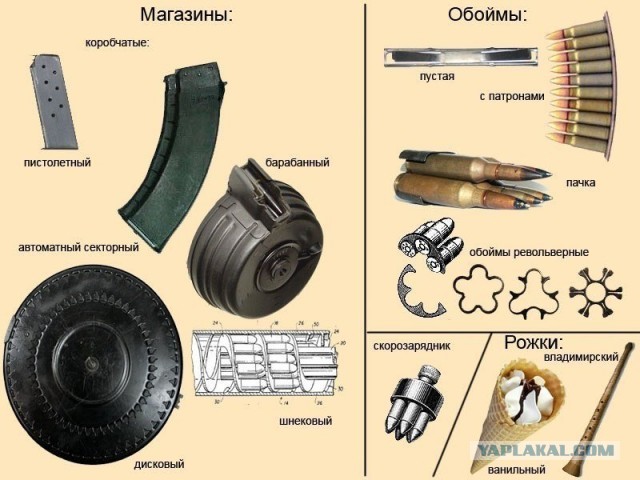 Так вот где он был!