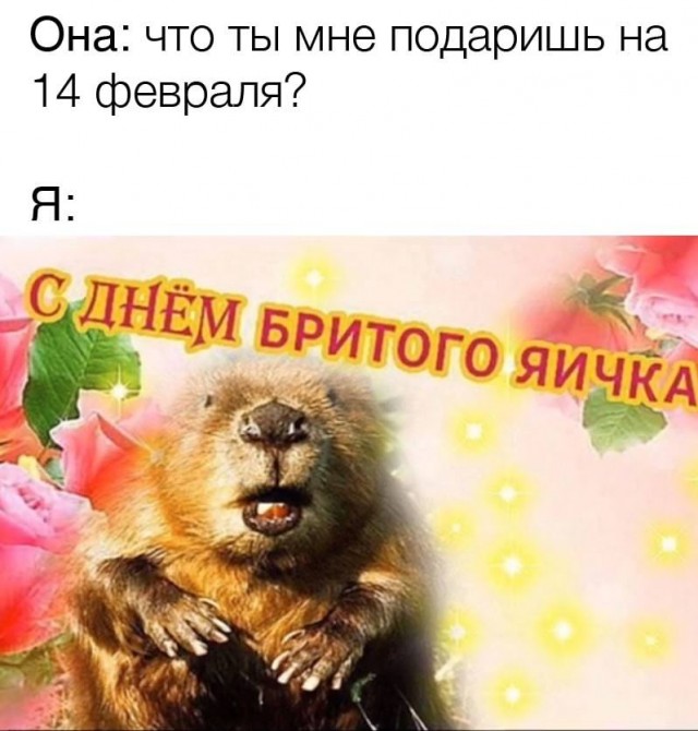 Баянисто-небаянистый юмор 7.02.22