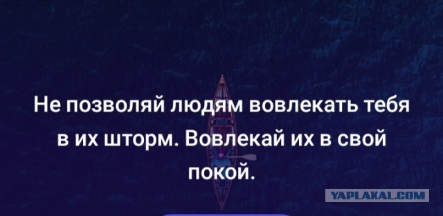 Спасибо Meditopia  за поддержку!