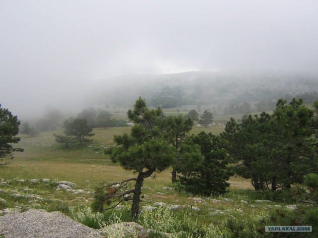 КРЫМ 2011 - делюсь впечатлениями