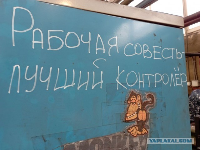 Настенная жизнь обычного завода