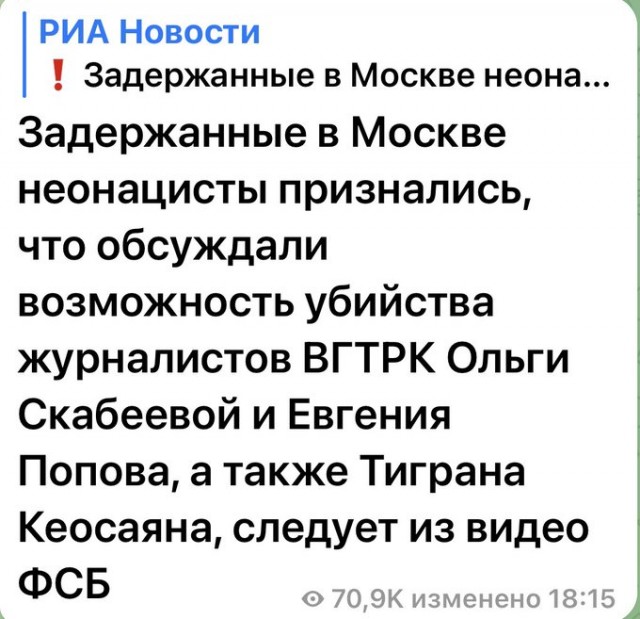 ФСБ задержала группу членов неонацистской террористической организации, планировавших убийство Соловьева