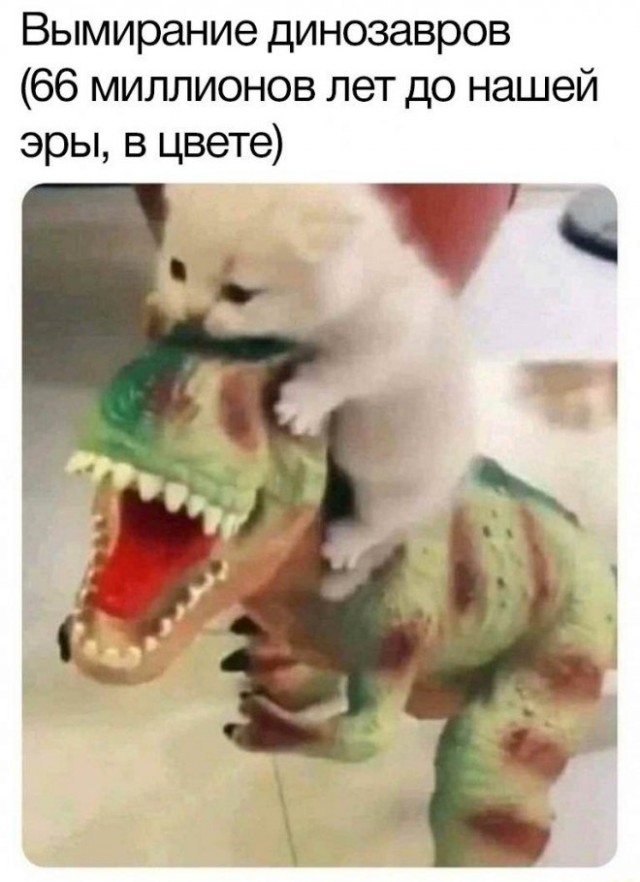 Так себе картинки 24.09.22