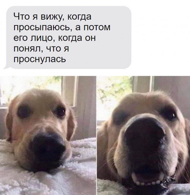 Картинки и мемы. Выходные близко...