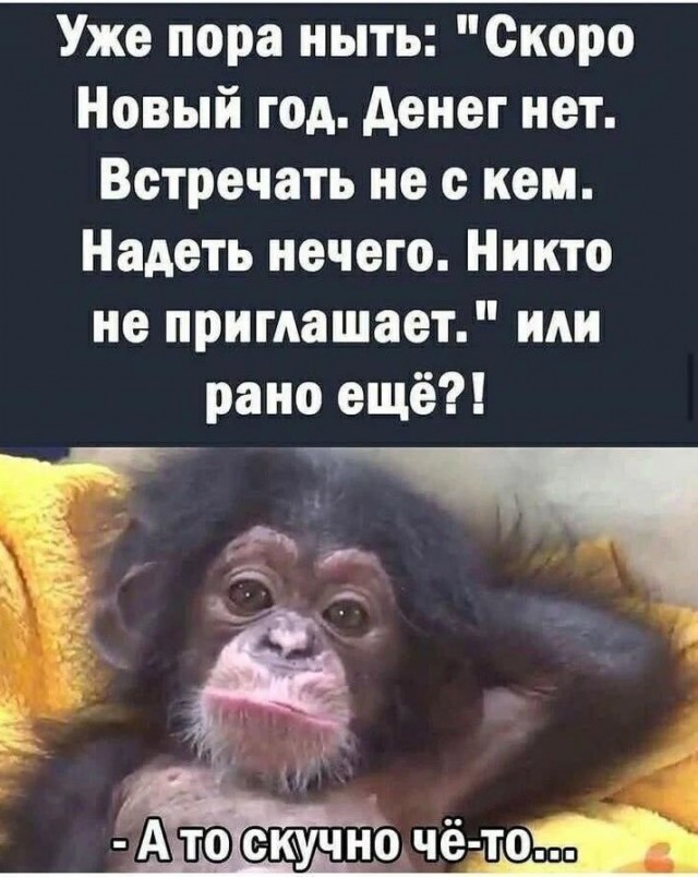 Юмор в картинках и без