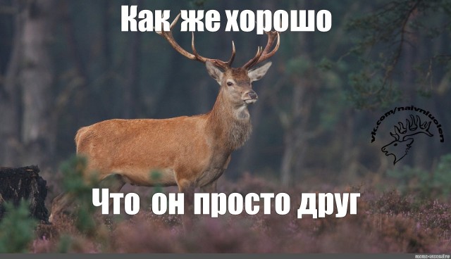 Мама может всё!