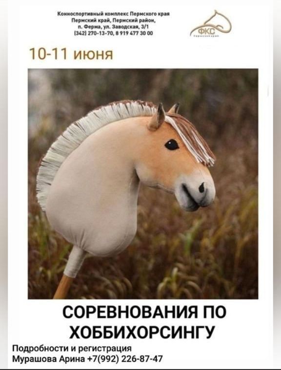 Соревнования по хоббихорсингу на Конноспортивном комплексе Пермского края