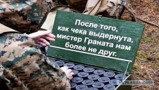 Мифы про гранаты, которые вас погубят