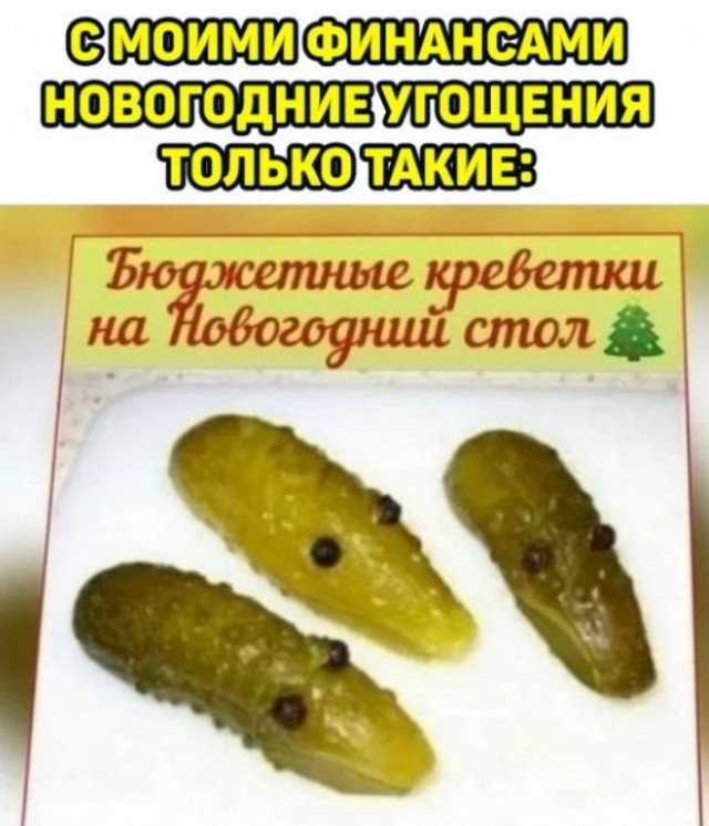 Весёлый полтишок 07.12.23