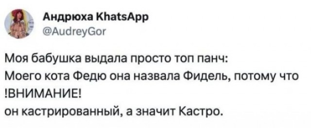 Фразы бабушек, которые надо записывать в "Цитаты великих людей"