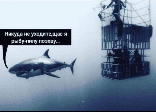 Всего понемногу. От 17.04.24.