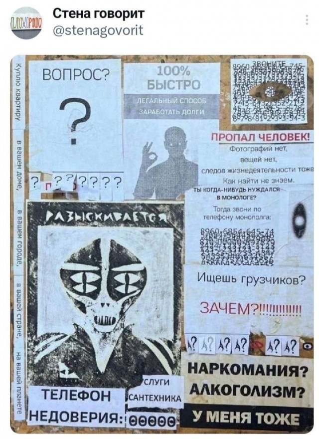 19016329.jpg