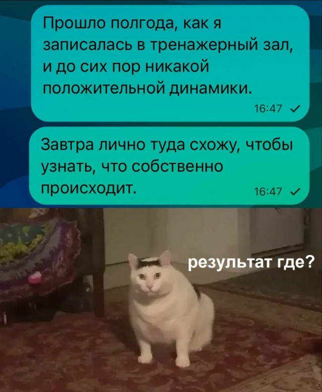 Весёлый полтишок 20.05.24