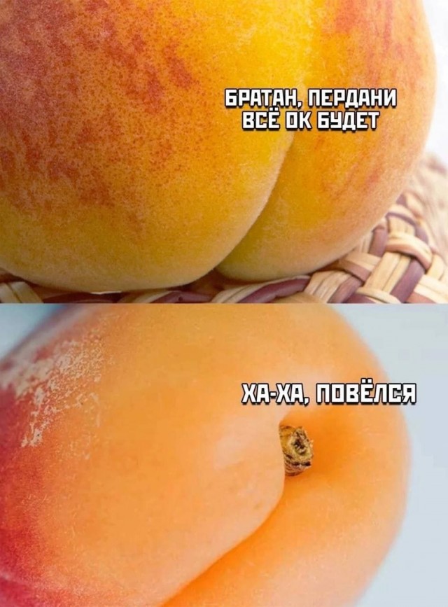 Никакие картинки