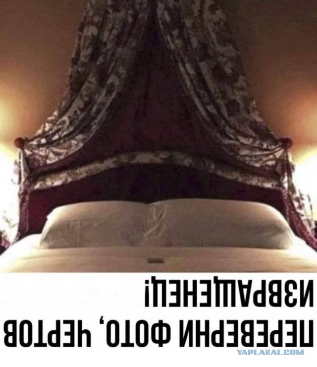 Юмор в картинках и без