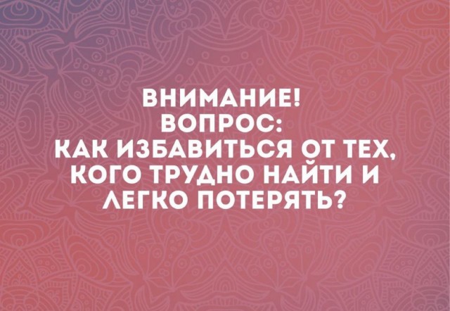 Немного забавных картинок от 01.09.2024